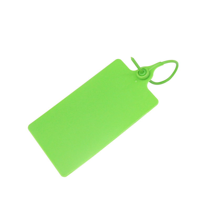 Plastic security seal Model-250E