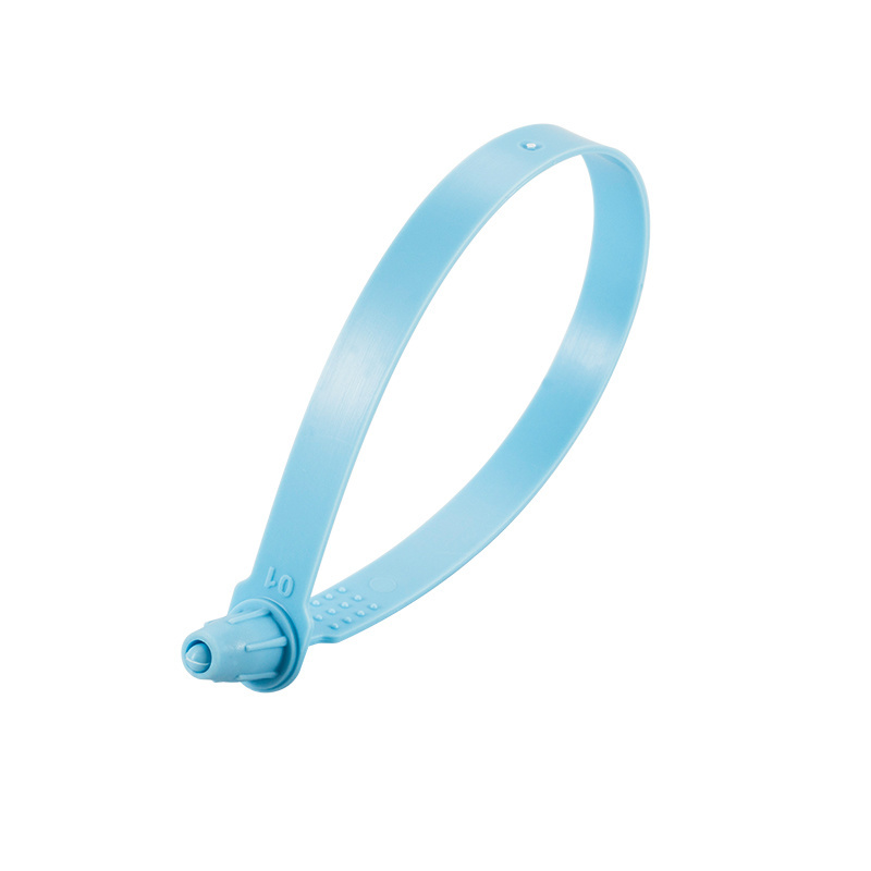 Plastic security seal Model-250
